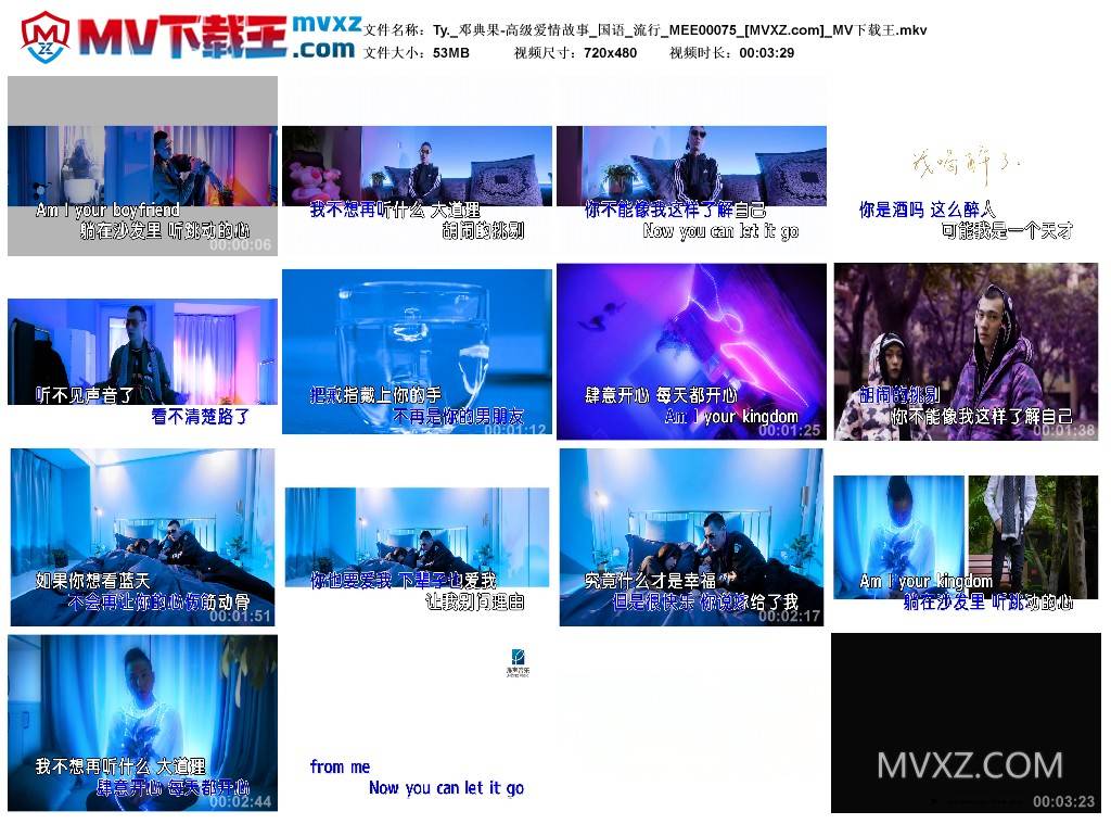 Ty._邓典果-高级爱情故事_国语_流行_MEE00075